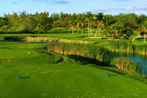 Republique Dominicaine Punta Cana ADN Voyage Golf Activity The Lake Barcelo Golf Course View 11