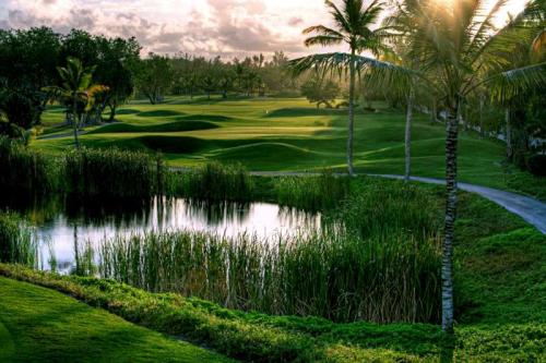 Republique Dominicaine Punta Cana ADN Voyage Golf Activity The Lake Barcelo Golf Course View 9