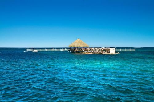 Republique Dominicaine Punta Cana ADN Voyage Activity Reef Explorer View 2