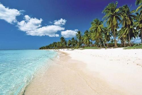 Republique Dominicaine Punta Cana ADN Voyage Playa Uvero Alto View 1