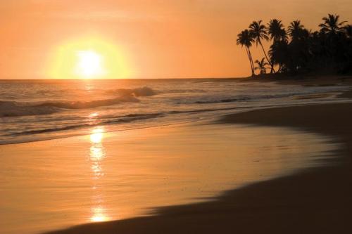Republique Dominicaine Punta Cana ADN Voyage Playa Uvero Alto View 2