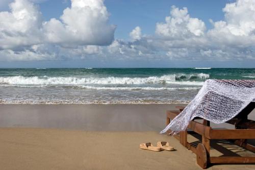 Republique Dominicaine Punta Cana ADN Voyage Playa Uvero Alto View 4