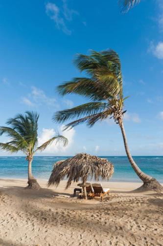 Republique Dominicaine Punta Cana ADN Voyage Playa Uvero Alto View 5