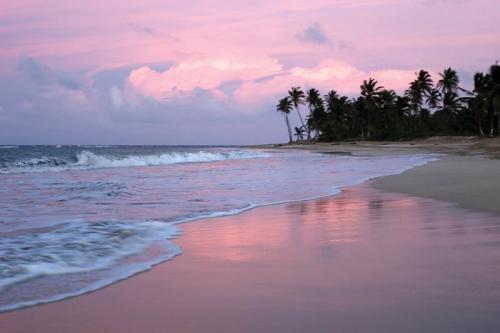 Republique Dominicaine Punta Cana ADN Voyage Playa Uvero Alto View 6