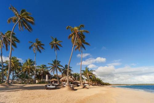 Republique Dominicaine Punta Cana ADN Voyage Playa Uvero Alto View 7