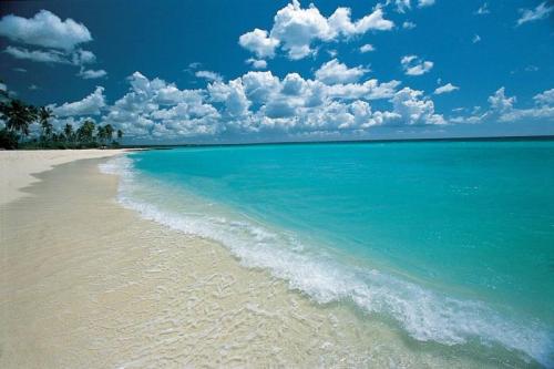 Republique Dominicaine Punta Cana ADN Voyage Playa Uvero Alto View 9