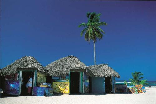 Republique Dominicaine Punta Cana Bayahibe ADN Voyage Activity Saona Island View 3
