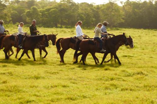 Republique Dominicaine Punta Cana Bayhibe ADN Voyage Activity Randonnee A Cheval Casa De Campo View 2